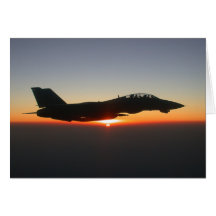 Avion de chasse de F 14 Tomcat Cartes De Vœux