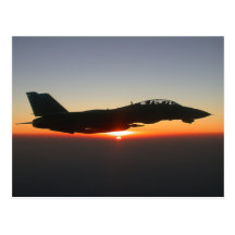 Avion de chasse de F 14 Tomcat Cartes Postales