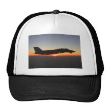 Avion de chasse de F 14 Tomcat Casquette De Camionneur