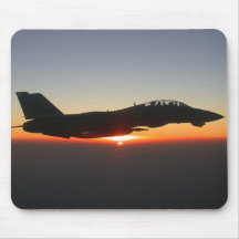 Avion de chasse de F 14 Tomcat Tapis De Souris