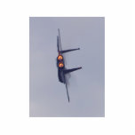 Avion Photos En Relief
