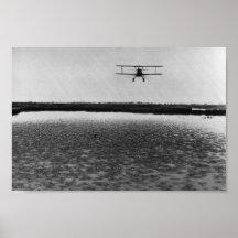 Avion Posters
