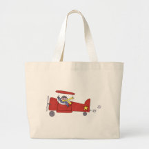 Avion Sacs