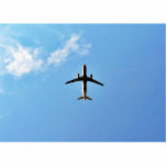 Avion sur le ciel photo sculptures