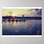 Aviron au soleil affiche