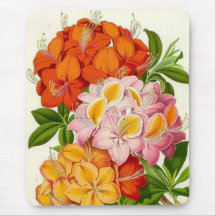 "Azalées robustes" par monsieur Joseph Paxton Tapis De Souris