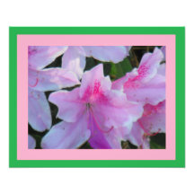 Azalées roses photos d’art