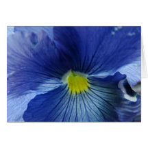 Azul Carte De Vœux