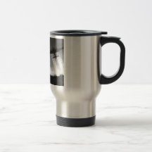 B-17 TASSE