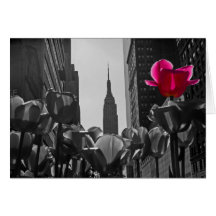 B&w de tulipes de NY + Cartes De Vœux