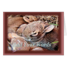 BAbyBunnies-toute occasion-personnaliser Carte