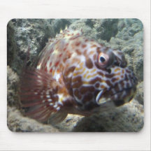 BAIE HAWAÏ - poisson de HANAUMA de faucon Tapis De Souris