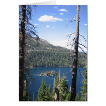 Baie verte cartes de vœux