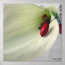 Baies de calla posters