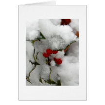 Baies de houx dans la neige cartes de vœux
