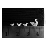bain de famille de 3cm cartes