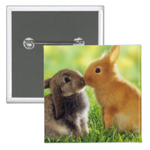 Baiser de lapin badge