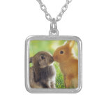 Baiser de lapin bijouterie fantaisie