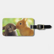 Baiser de lapin étiquette à bagage