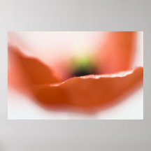 Baiser de pavot posters