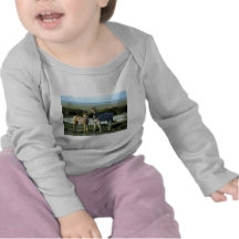 Baisers de zèbre t-shirts