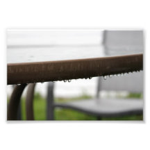 Baisses de pluie sur un Tableau de jardin Tirages Photo
