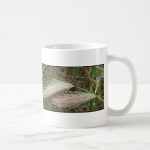 Baisses de pluie/tasse d'herbes
