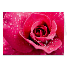 Baisses de rosée sur la carte de voeux rose