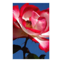 Balboa-parc-roses picoseconde LARGE.jpg Papier À Lettre