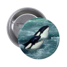 Baleine Badges