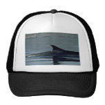 Baleine d'aileron, aileron dorsal casquette de camionneur
