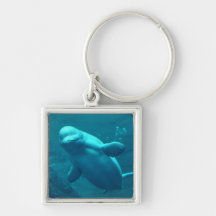 Baleine de Baluga Porte-clef