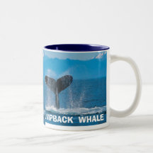 Baleine de bosse, baleine de bosse, BALEINE de BOS Tasses