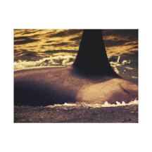 Baleine d'orque toile tendue sur châssis