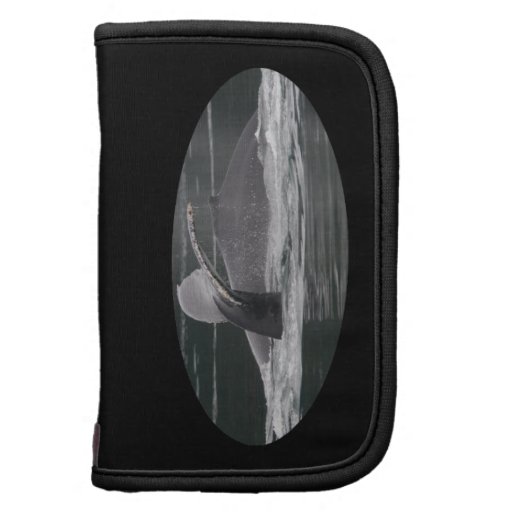Baleines de bosse agenda folio