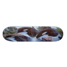 BALEINES PLANCHES À ROULETTES CUSTOMISÉES