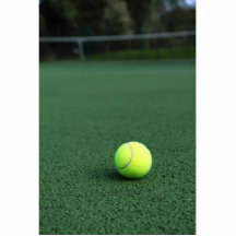 Balle de tennis photo sculptures
