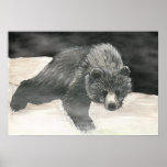 Baloo Posters