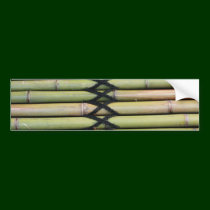 Bambou autocollants pour voiture
