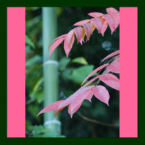 Bambou et feuilles posters