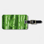 Bambou frais avec l'étiquette de bagage de rosée