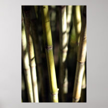Bambou ombragé affiches