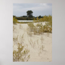 Banc de sable du Missouri Affiche