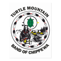 Bande de montagne de tortue de Chippewa Carte Postale