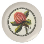 Banksia australien de fleurs sauvages assiettes