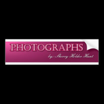 bannière de photo autocollants pour voiture