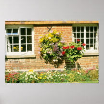 Baquets plantés - calcéolaire posters