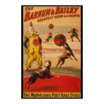 Barnum et affiche de chiens du football de cirque  posters
