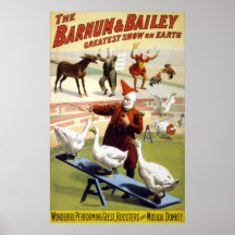 Barnum et Bailey - oies de exécution merveilleuses Affiches