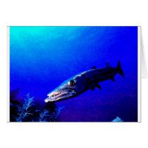 BARRACUDA BESTIOLE CARTES DE VŒUX